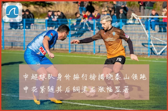 中超球队身价排行榜揭晓泰山领跑申花紧随其后铜梁龙涨幅显著